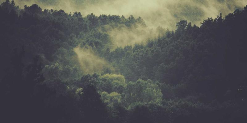 Wi-Fi 6深度解析：不止于速度，更关乎安全与效率的无线革命