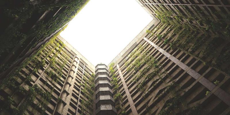 网络技术27：从资源分享到编程实战，打造你的技术成长地图