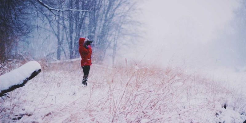 软件定义网络(SDN)革命:重塑企业IT架构,赋能服务器运维与网络安全